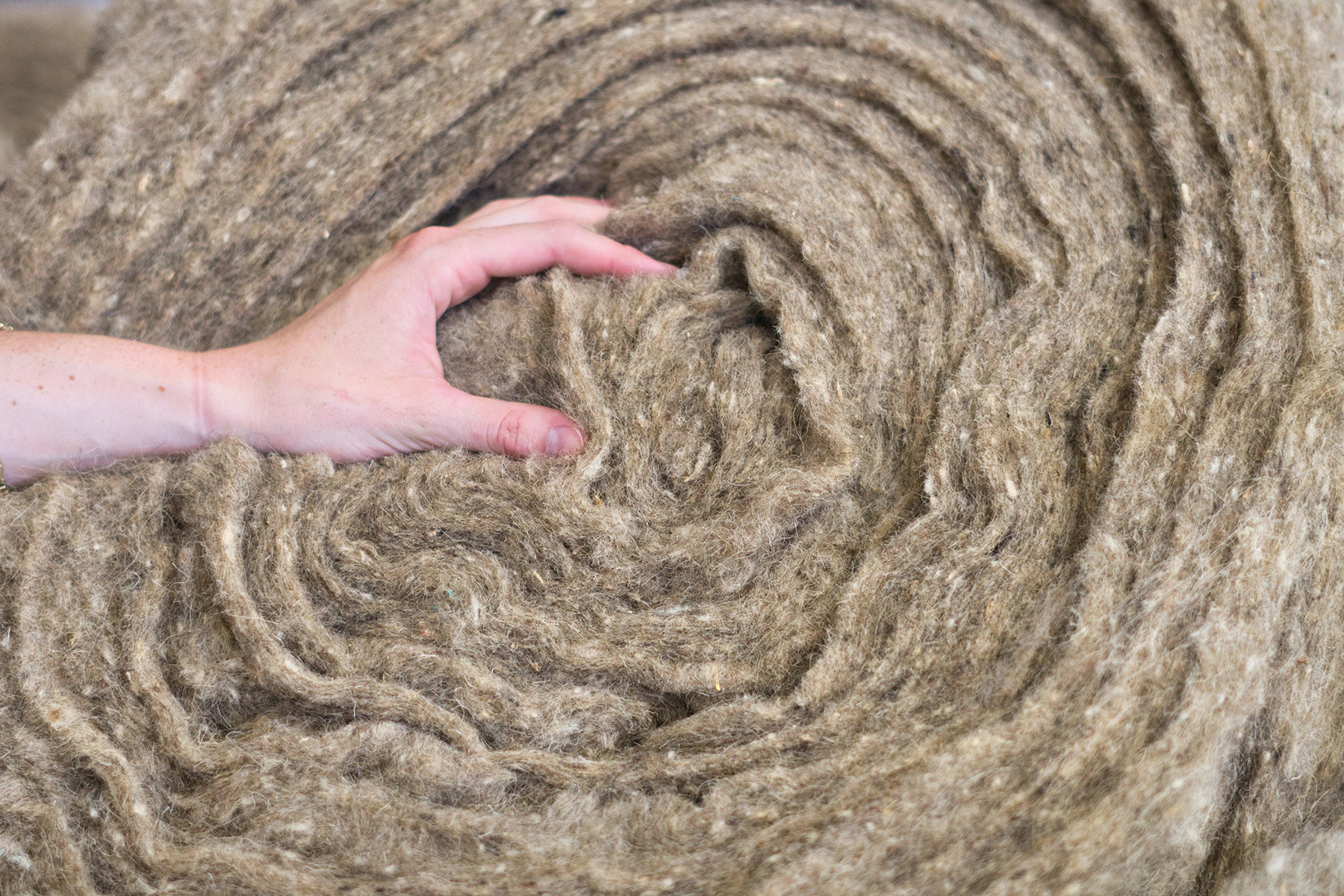 Rolo de lã de ovelha natural tocado por uma mão