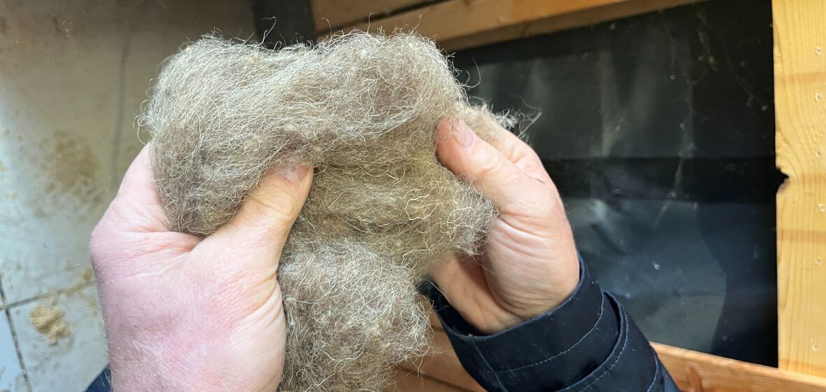 Dry sheep's wool insulation