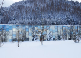 Lehner-Wool-14599_07