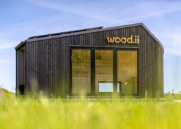 Lehner-Wool-15986_02