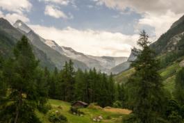 kat-closon-7sp9g_euA8M-unsplash 