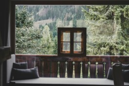 laura-chouette-pdT958mHX6c-unsplash 