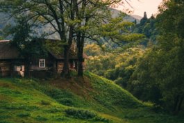 nastia-petruk-XolDLizhfQ0-unsplash 