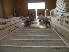 Holzrahmenbau _ wood framing construction